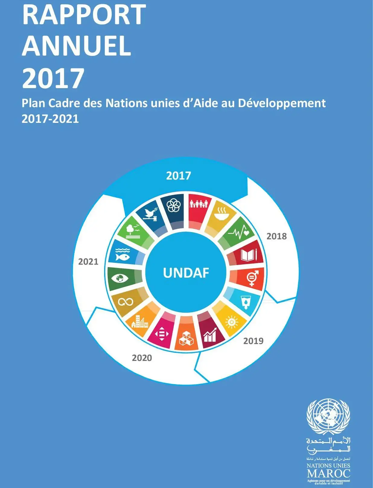 Rapport Annuel de l'UNDAF 2017